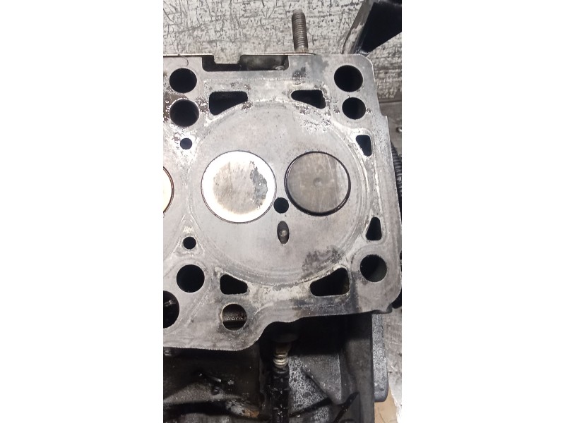 Recambio de culata para skoda octavia ii (1z3) 1.9 tdi referencia OEM IAM 038103373R BXE 