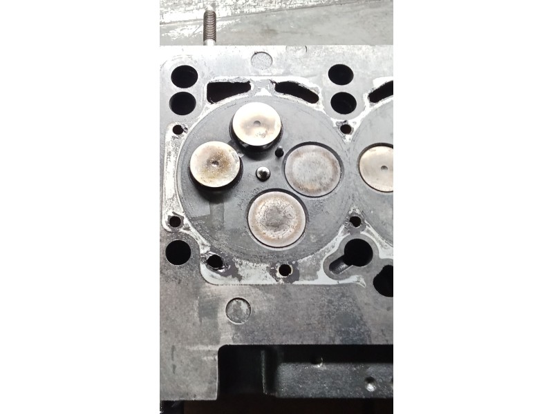 Recambio de culata para audi a4 berlina (8e) 2.0 tdi 16v (103kw) referencia OEM IAM 03G103373A BLB 