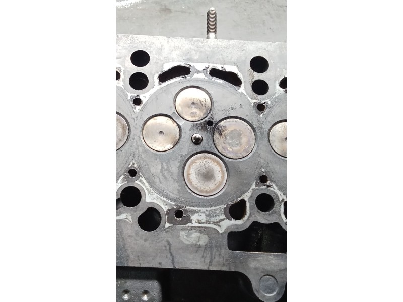 Recambio de culata para audi a4 berlina (8e) 2.0 tdi 16v (103kw) referencia OEM IAM 03G103373A BLB 