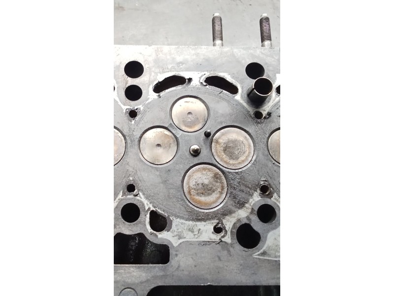 Recambio de culata para audi a4 berlina (8e) 2.0 tdi 16v (103kw) referencia OEM IAM 03G103373A BLB 