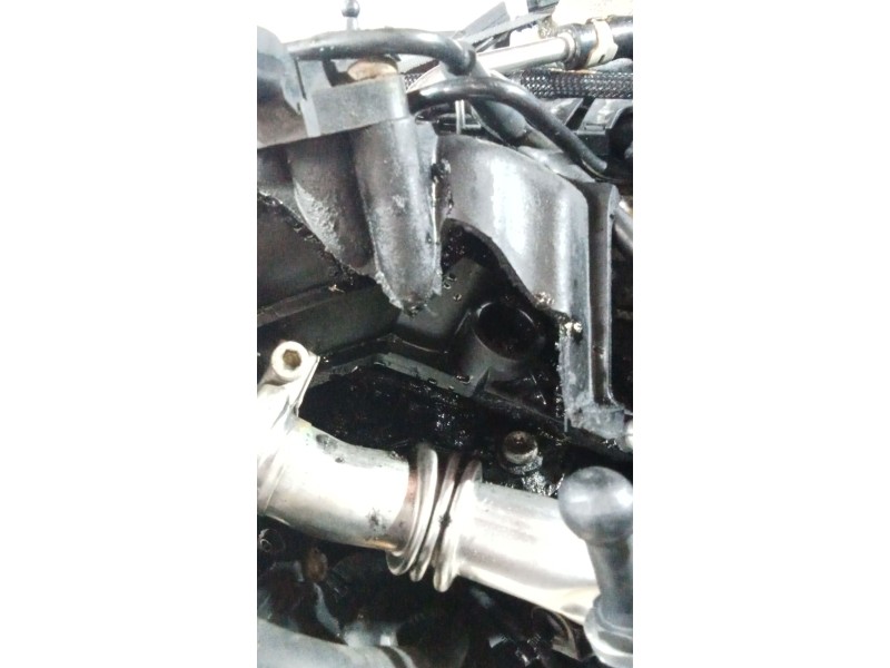 Recambio de motor completo para seat ibiza (6j5) 1.2 tdi referencia OEM IAM CFW DELPHI 131868