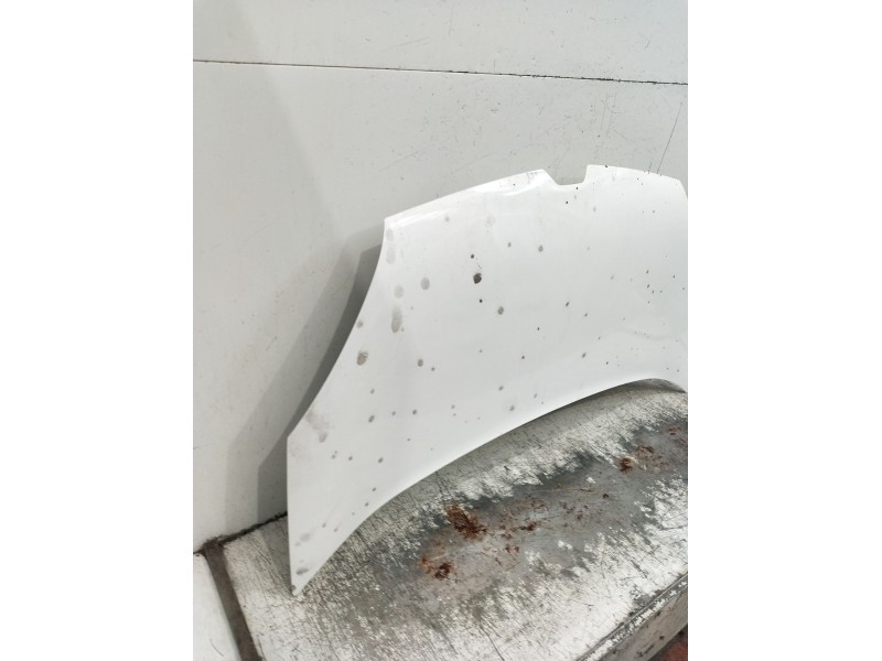 Recambio de capot para renault kangoo / grand kangoo ii (kw0/1_) 1.5 dci 75 (kw07, kw10, kw04) referencia OEM IAM   