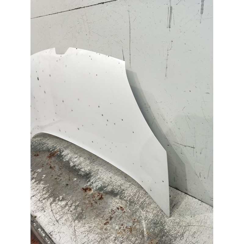 Recambio de capot para renault kangoo / grand kangoo ii (kw0/1_) 1.5 dci 75 (kw07, kw10, kw04) referencia OEM IAM   