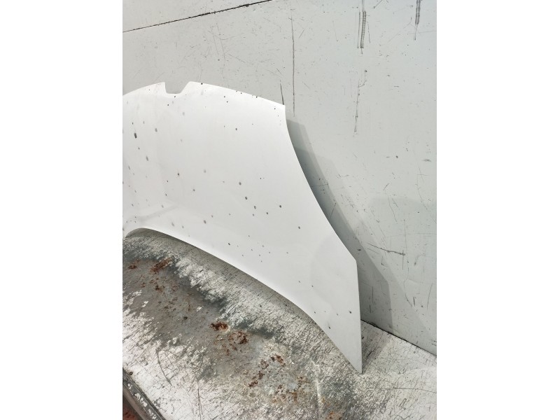 Recambio de capot para renault kangoo / grand kangoo ii (kw0/1_) 1.5 dci 75 (kw07, kw10, kw04) referencia OEM IAM   