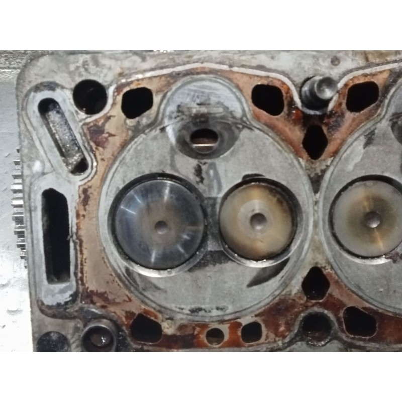 Recambio de culata para citroën berlingo / berlingo first furgoneta/monovolumen (m_) 1.9 d 70 (mbwjz, mcwjz) referencia OEM IAM 