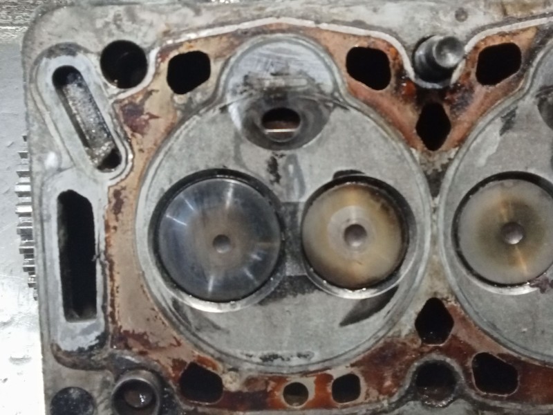 Recambio de culata para citroën berlingo / berlingo first furgoneta/monovolumen (m_) 1.9 d 70 (mbwjz, mcwjz) referencia OEM IAM 