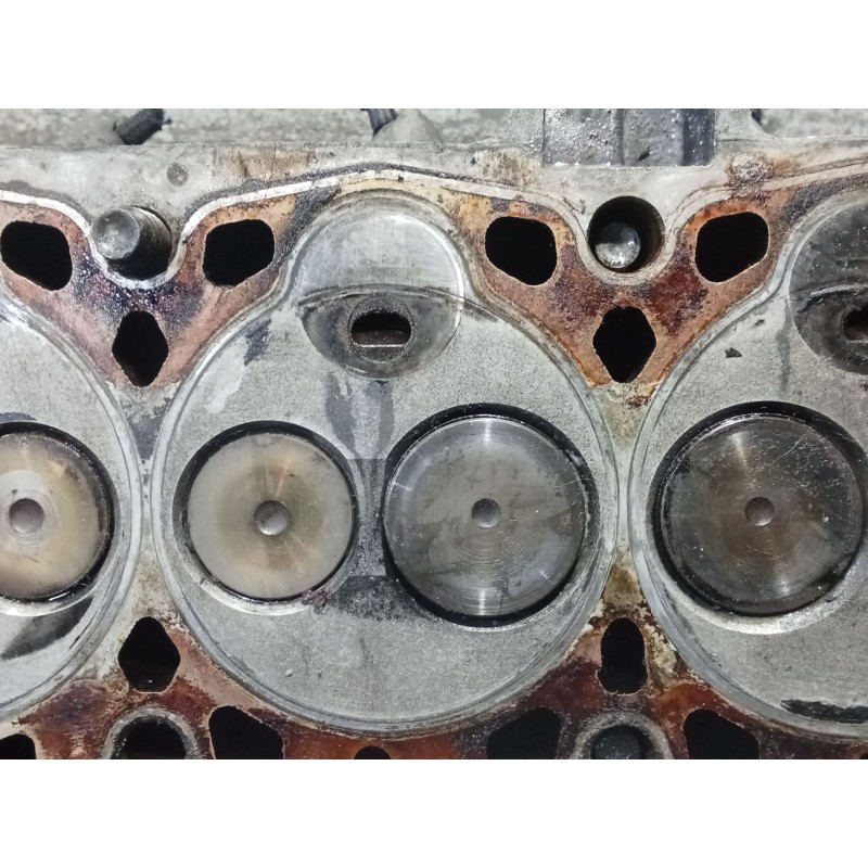 Recambio de culata para citroën berlingo / berlingo first furgoneta/monovolumen (m_) 1.9 d 70 (mbwjz, mcwjz) referencia OEM IAM 