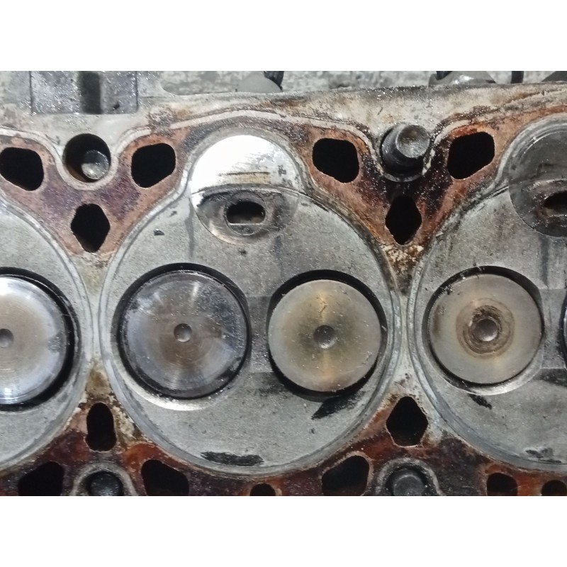 Recambio de culata para citroën berlingo / berlingo first furgoneta/monovolumen (m_) 1.9 d 70 (mbwjz, mcwjz) referencia OEM IAM 