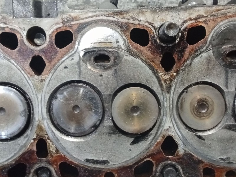 Recambio de culata para citroën berlingo / berlingo first furgoneta/monovolumen (m_) 1.9 d 70 (mbwjz, mcwjz) referencia OEM IAM 