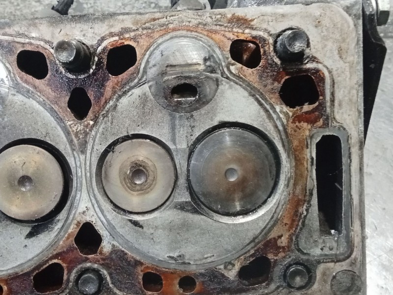 Recambio de culata para citroën berlingo / berlingo first furgoneta/monovolumen (m_) 1.9 d 70 (mbwjz, mcwjz) referencia OEM IAM 