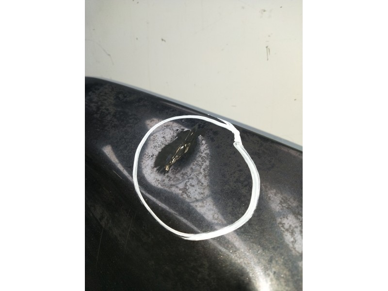 Recambio de capot para land rover range rover (lp) dse (100kw) referencia OEM IAM  VER FOTOS 