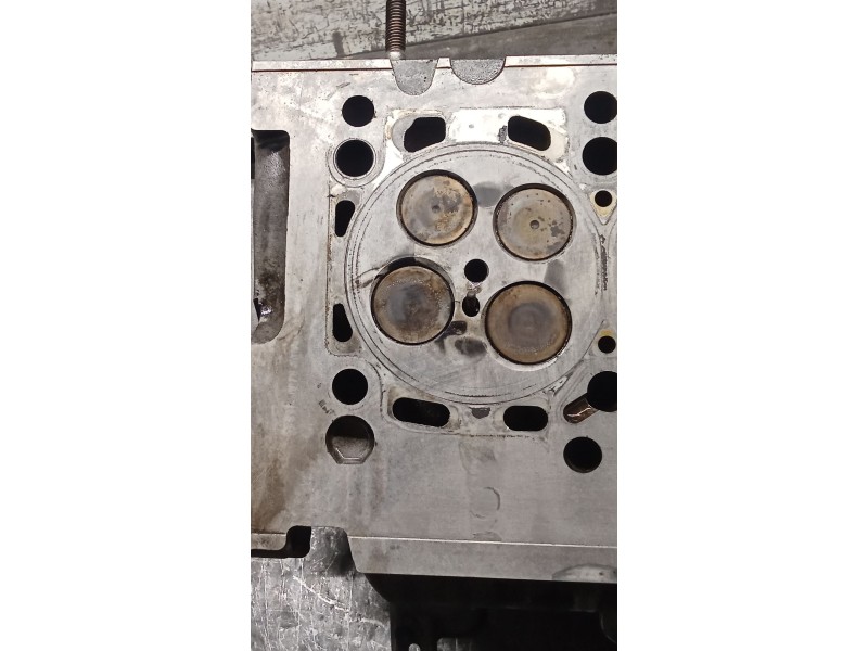 Recambio de culata para seat alhambra (710, 711) 2.0 tdi referencia OEM IAM 03L103373J CFG 