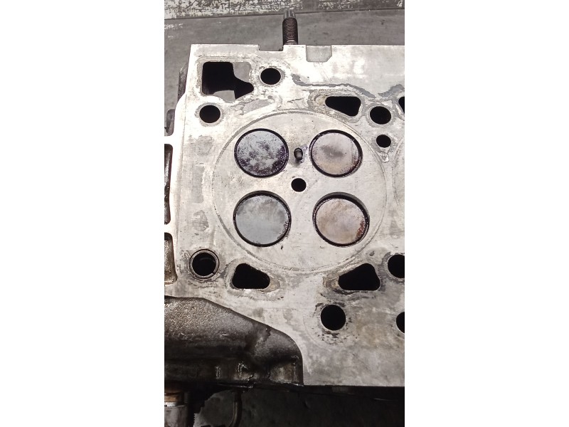 Recambio de culata para nissan cabstar (f24m, f24w) 35.13 dci, 45.13 dci 2.5 (f24m) referencia OEM IAM YD25DDTI  