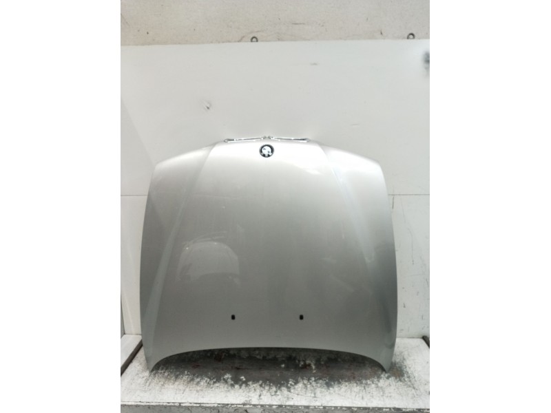 Recambio de capot para bmw 5 (e39) 530 d referencia OEM IAM   