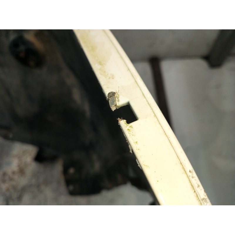 Recambio de paragolpes trasero para nissan qashqai i (j10, nj10) 1.6 dci referencia OEM IAM  VER FOTOS 11