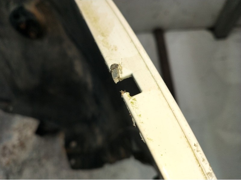 Recambio de paragolpes trasero para nissan qashqai i (j10, nj10) 1.6 dci referencia OEM IAM  VER FOTOS 11